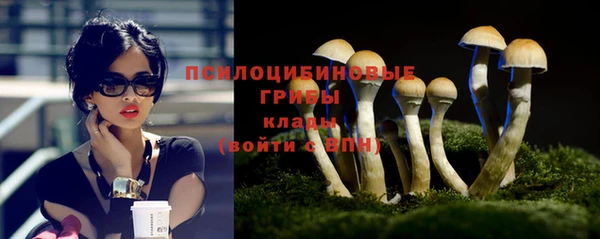 а пвп мука Алзамай
