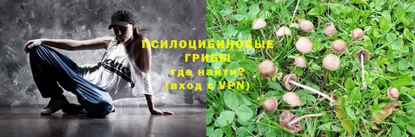 спиды Абинск