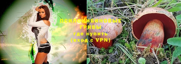apvp Абаза