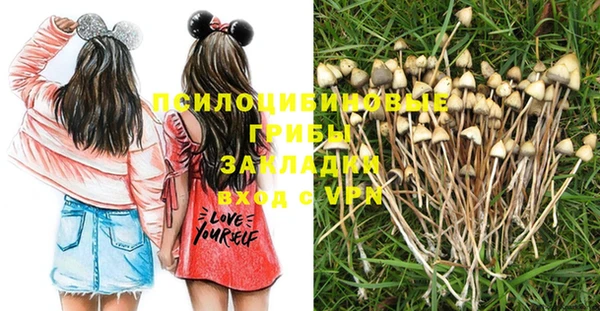 спиды Абинск