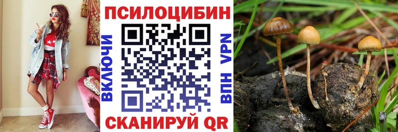Галлюциногенные грибы MAGIC MUSHROOMS  где продают   Тавда 